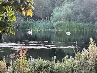 4 Bed House in Castleconnell, Co. Limerick