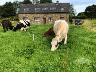 2 Bed Manor in Mountcollins